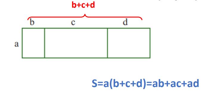 پاسخ سوال 5 تمرین صفحه 55 ریاضی هشتم