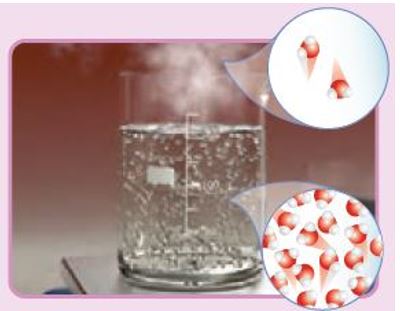 عکس فکر کنید صفحه 11 علوم هشتم