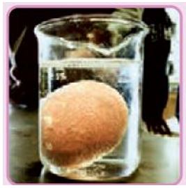 عکس فکر کنید صفحه 11 علوم هشتم