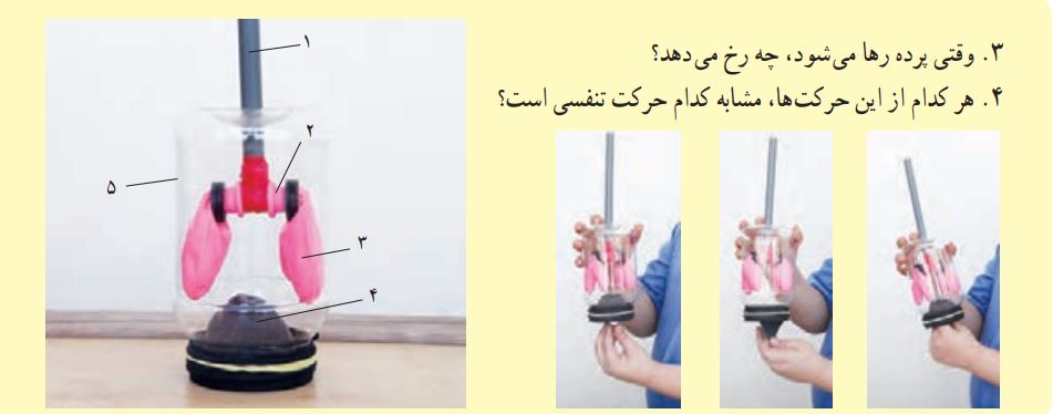 فعالیت 2 صفحه 133 علوم هفتم