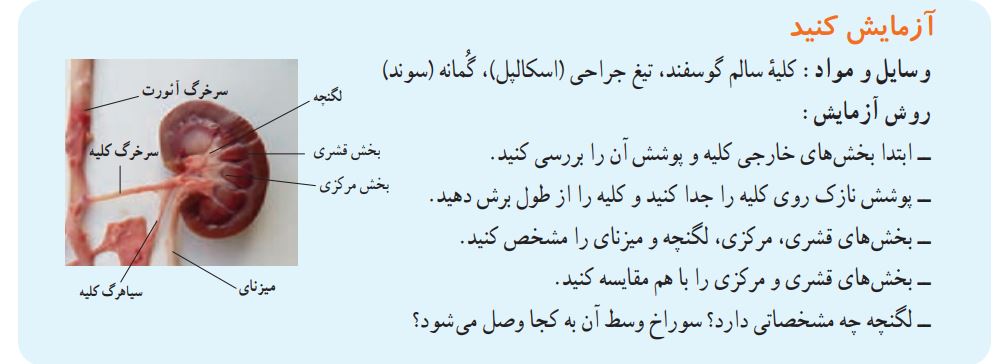 آزمایش کنید صفحه 136 علوم هفتم
