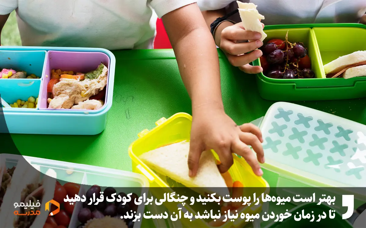 تغذیه سالم